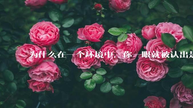 为什么在一个环境中，你一眼就被认出是最好欺负的？