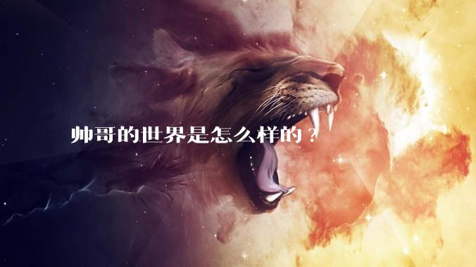 帅哥的世界是怎么样的?